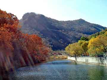 韩国明星机场街拍，引领时尚潮流的风向标