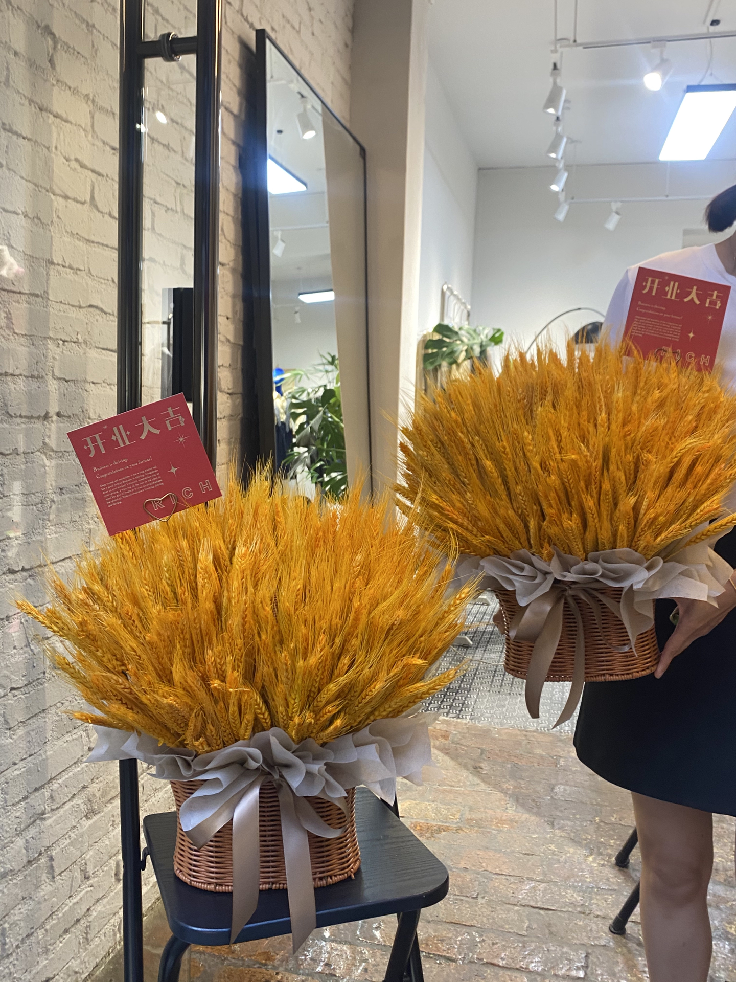 大麦上市了吗？心灵之旅探寻宁静与美景的盛宴启动
