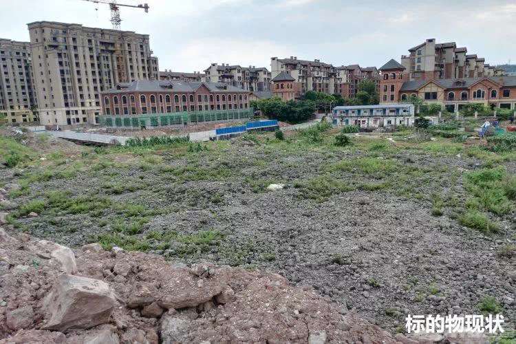 晋愉江州最新动态，力量在变革中显现，自信与成就感在学习中成长