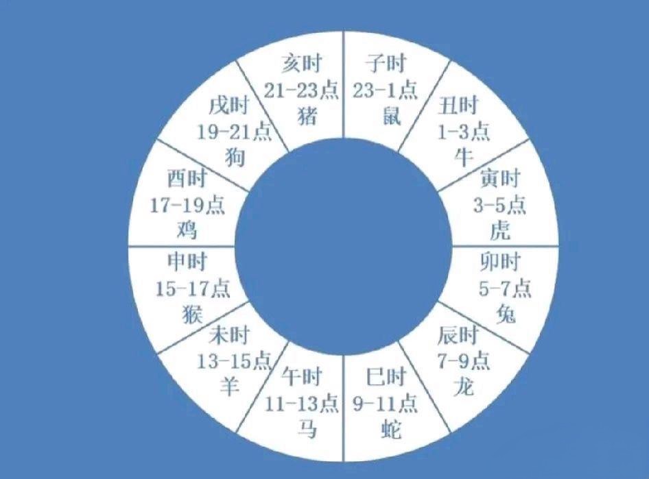 ＂今天晚9点30开正确生肖＂的：最新研究解读_迅捷版4.41