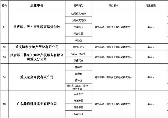 段新最新职位概述揭秘