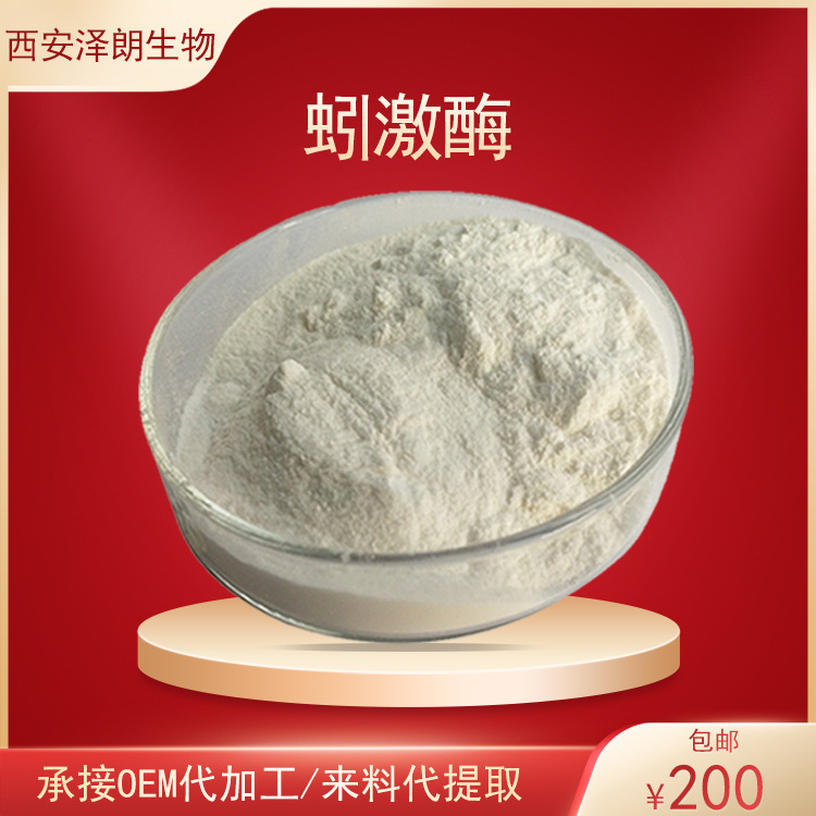 蚓激酶最新资讯揭秘，小巷中的隐藏宝藏与独特环境魅力探索