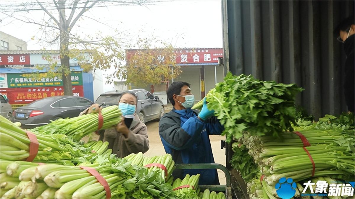 河南鲁山张良最新动态与小巷深处的独特风味探秘