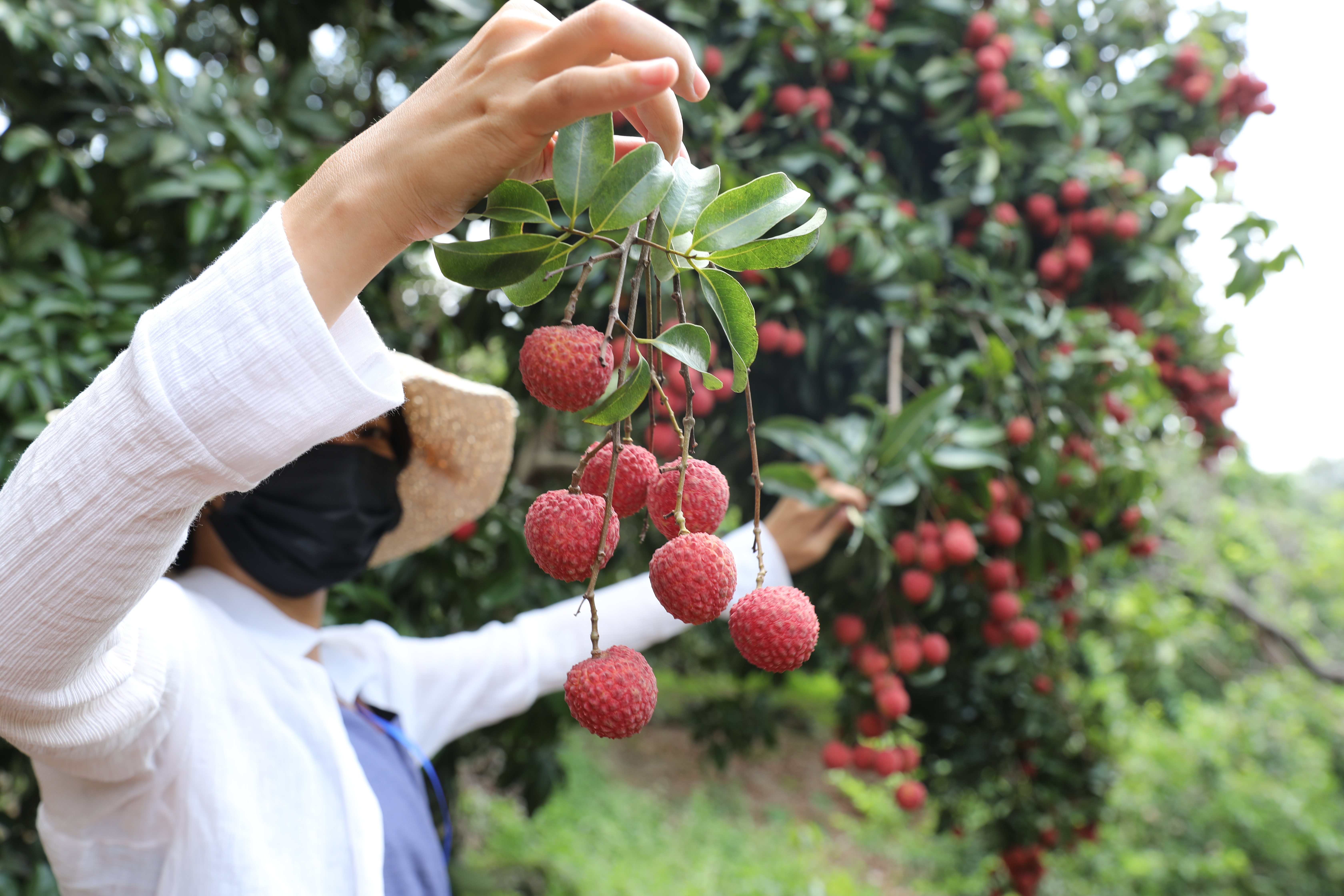 钢质防火门 第19页