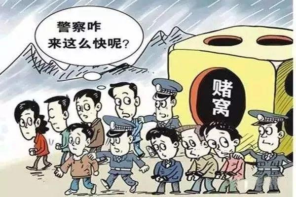 乐安市最新案件，科技革新重塑生活体验