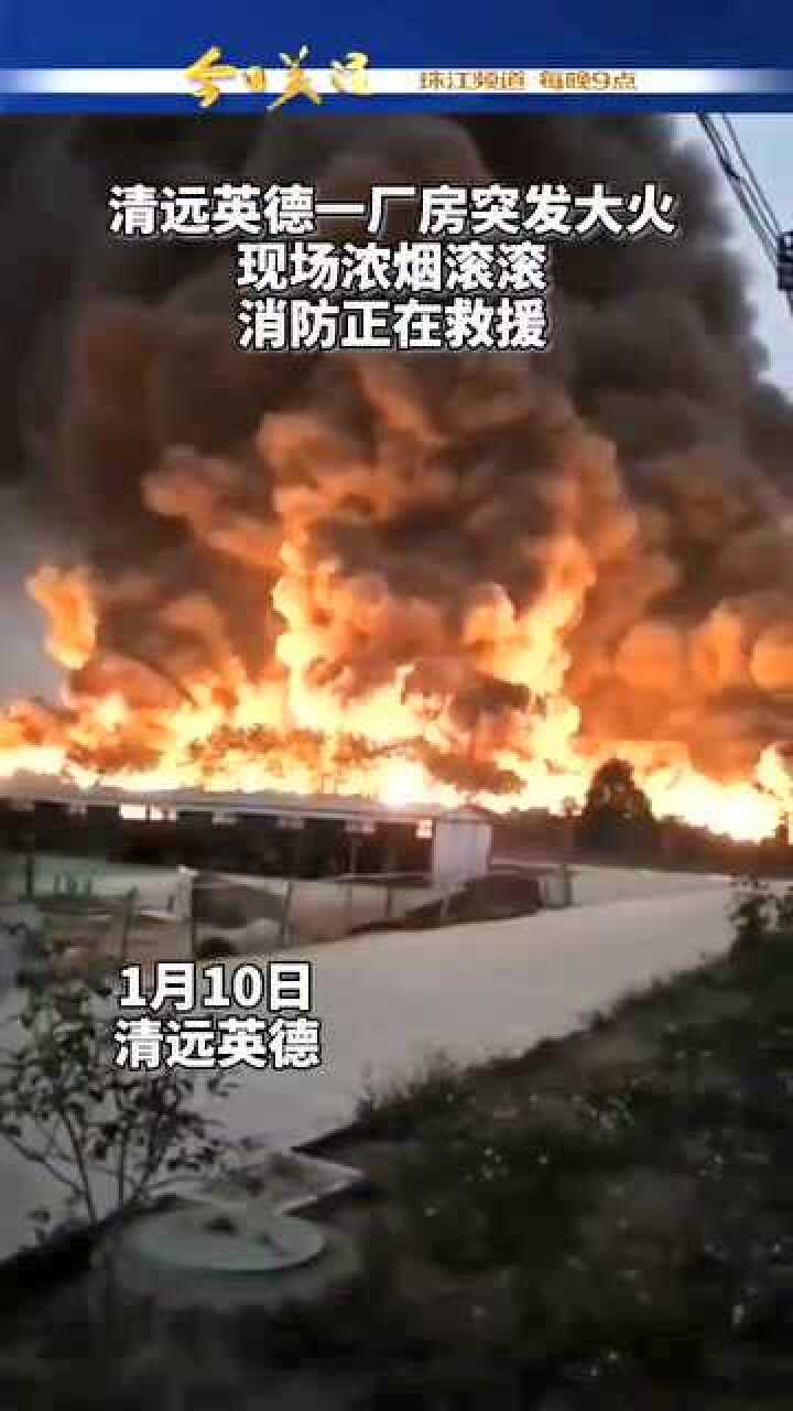 清远火灾最新信息概述与动态更新