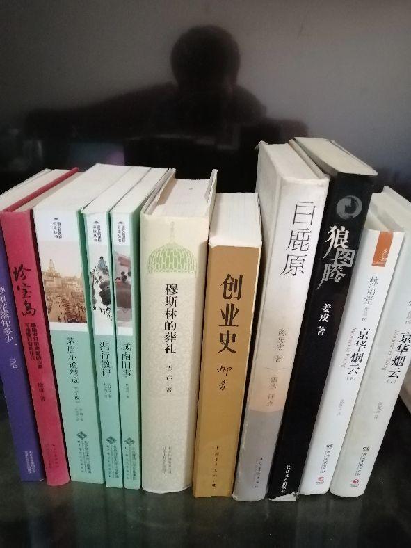 我与书最新，小巷深处的文字盛宴体验