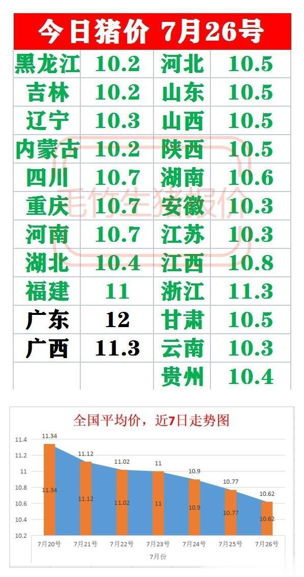 大猪最新价格，一场探寻内心平静的旅程