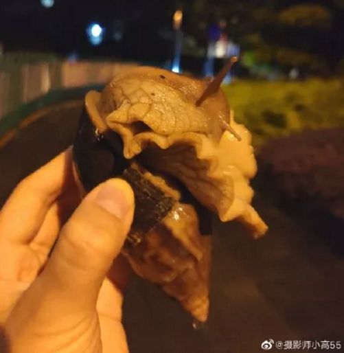 最新脑膜炎与友情的小奇遇揭秘