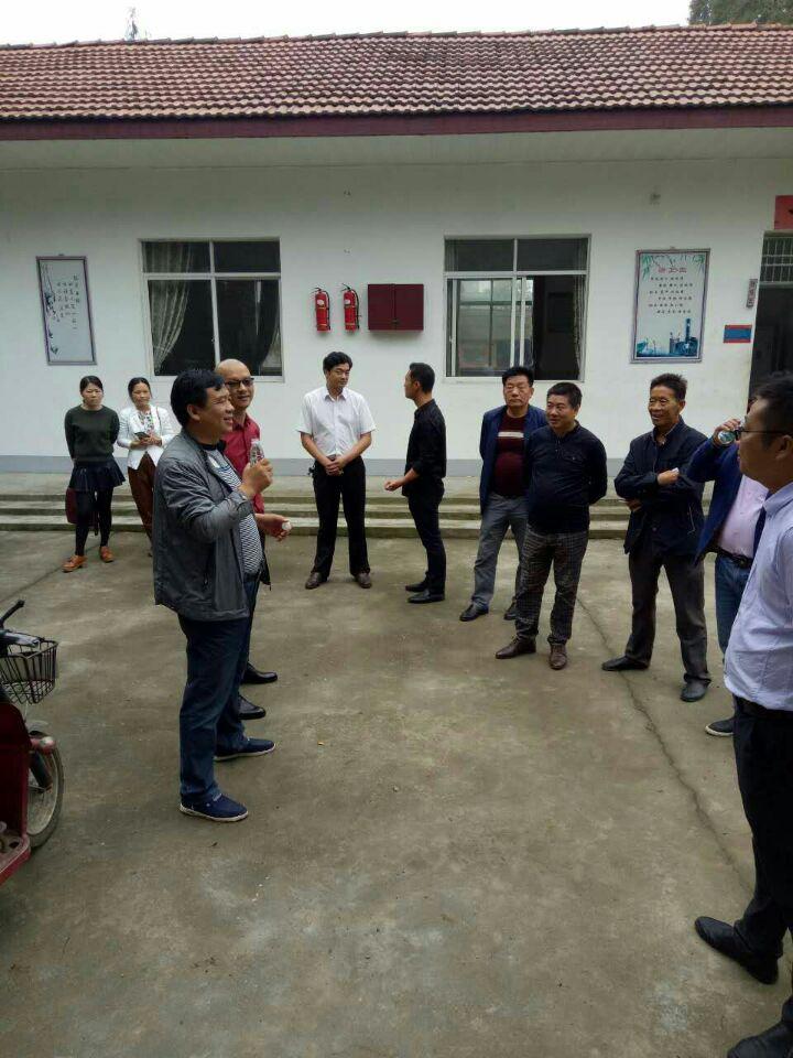 汊河镇小巷深处的独特风情揭秘