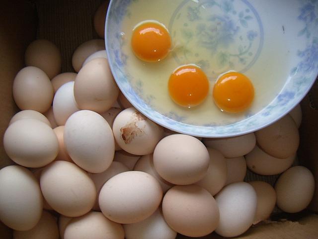 鸡蛋最新价格走势，市场分析、影响因素及未来趋势探讨